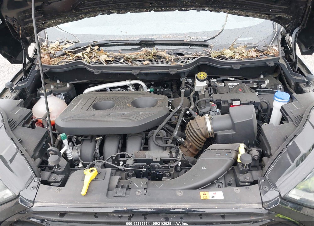 2019 FORD ECOSPORT VIN: MAJ6S3JL8KC252584
