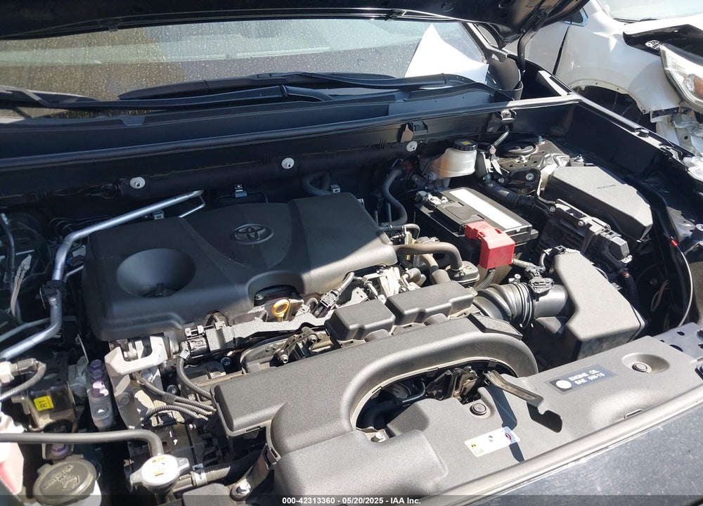 2019 TOYOTA RAV4 VIN: 2T3C1RFV7KC019484