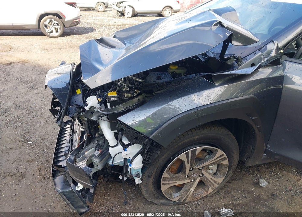 2025 SUBARU CROSSTREK VIN: JF2GUHDC4S8246965