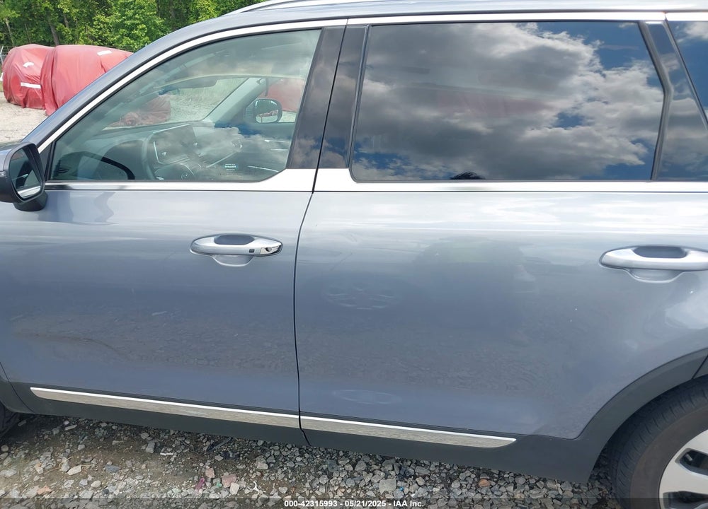 2020 KIA TELLURIDE VIN: 5XYP6DHC8LG023365