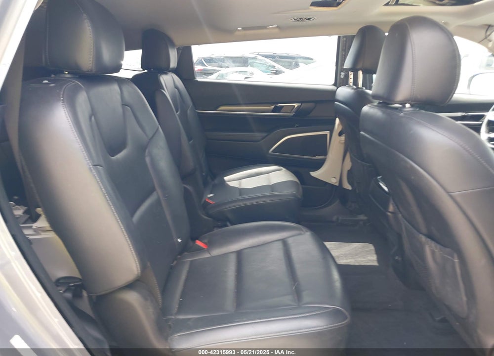 2020 KIA TELLURIDE VIN: 5XYP6DHC8LG023365