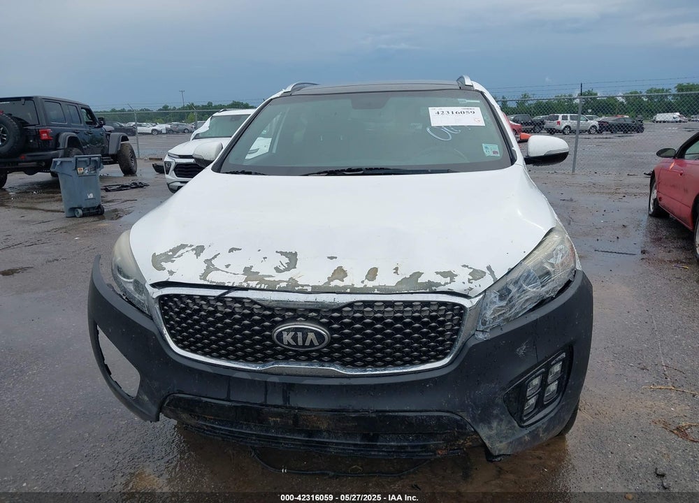 2016 KIA SORENTO VIN: 5XYPK4A13GG021923