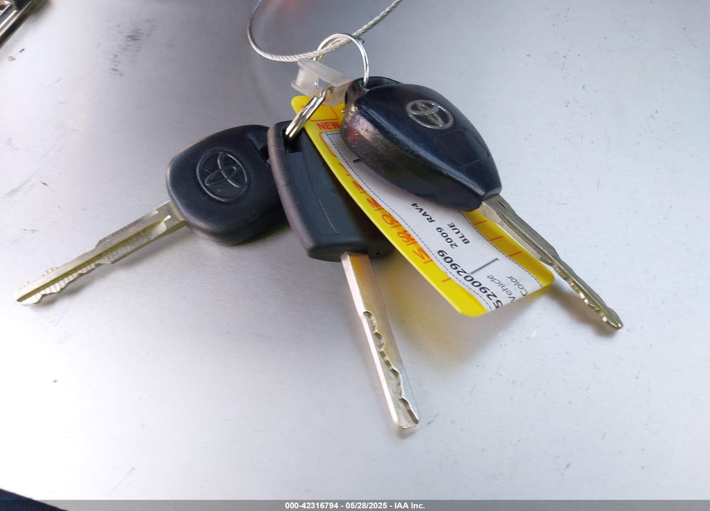 2009 TOYOTA RAV4 VIN: JTMZF33V19D012209
