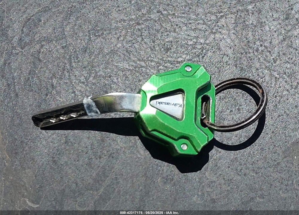 2024 KAWASAKI ZX1002 L VIN: JKBZXVL11RA013759