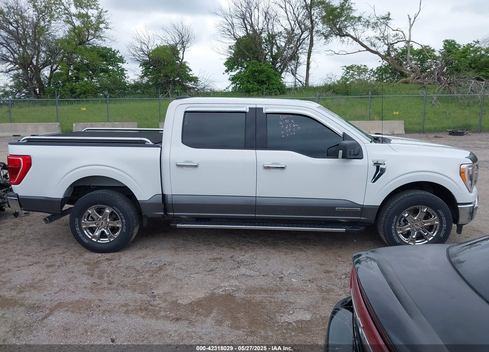 2021 FORD F-150 VIN: 1FTFW1ED7MFB36946