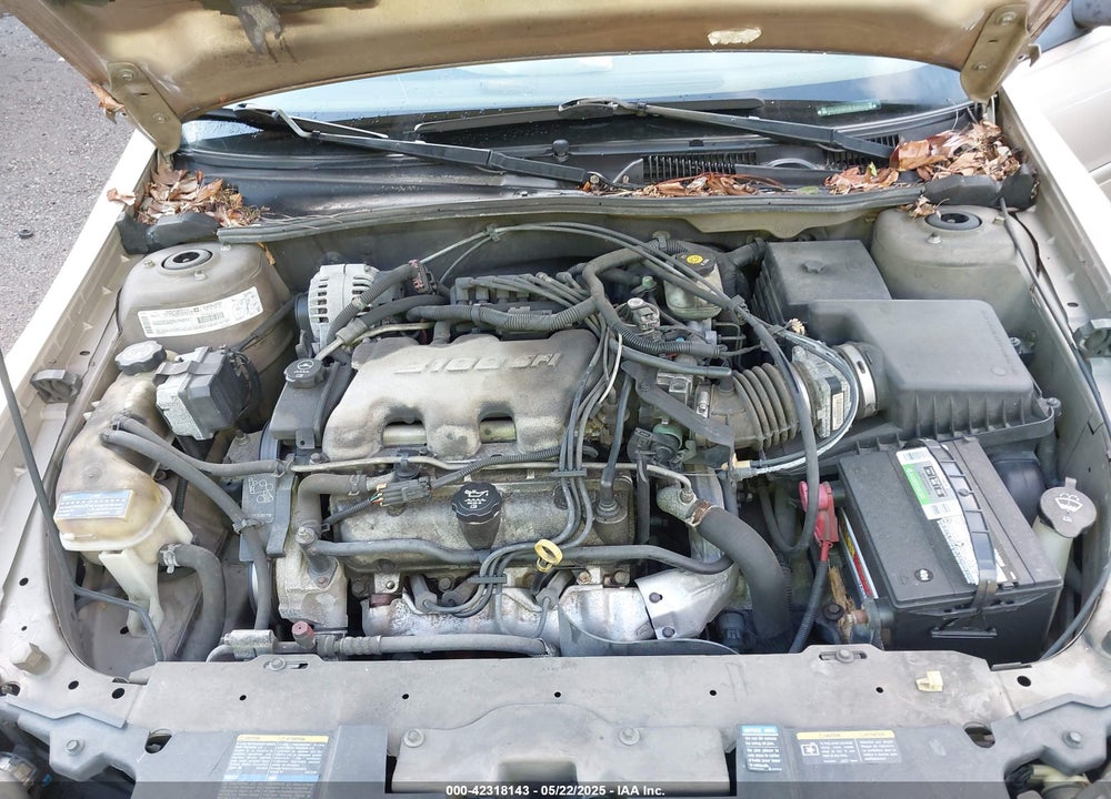2002 CHEVROLET MALIBU VIN: 1G1ND52J32M687282
