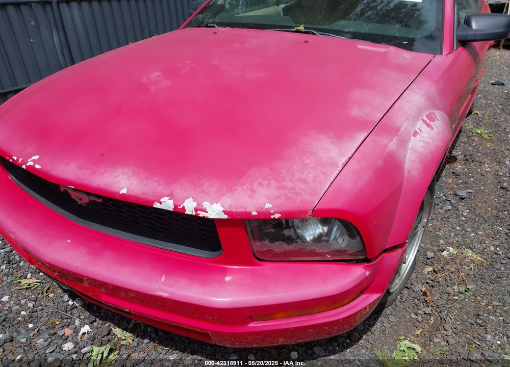 2005 FORD MUSTANG VIN: 1ZVFT84N455215653