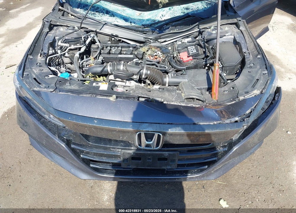 2019 HONDA ACCORD VIN: 1HGCV1E3XKA166905