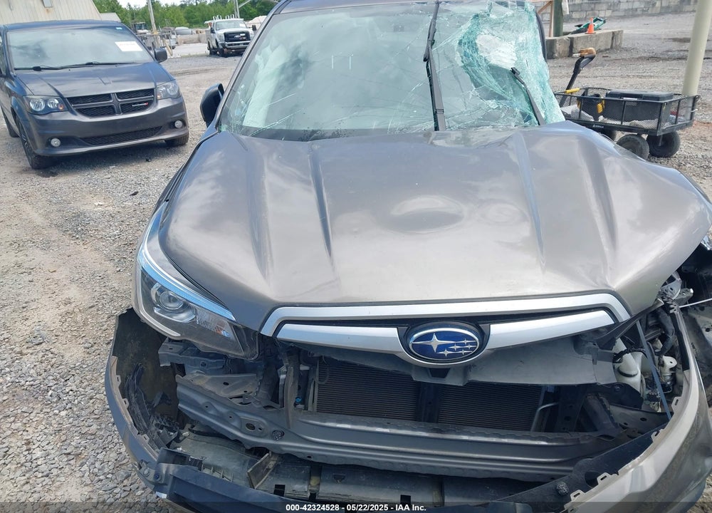 2019 SUBARU FORESTER VIN: JF2SKAGC5KH553063