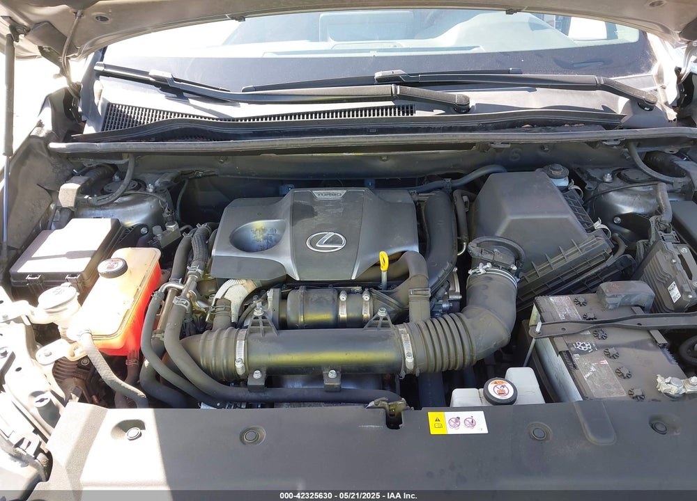 2019 LEXUS NX VIN: JTJYARBZ7K2122262