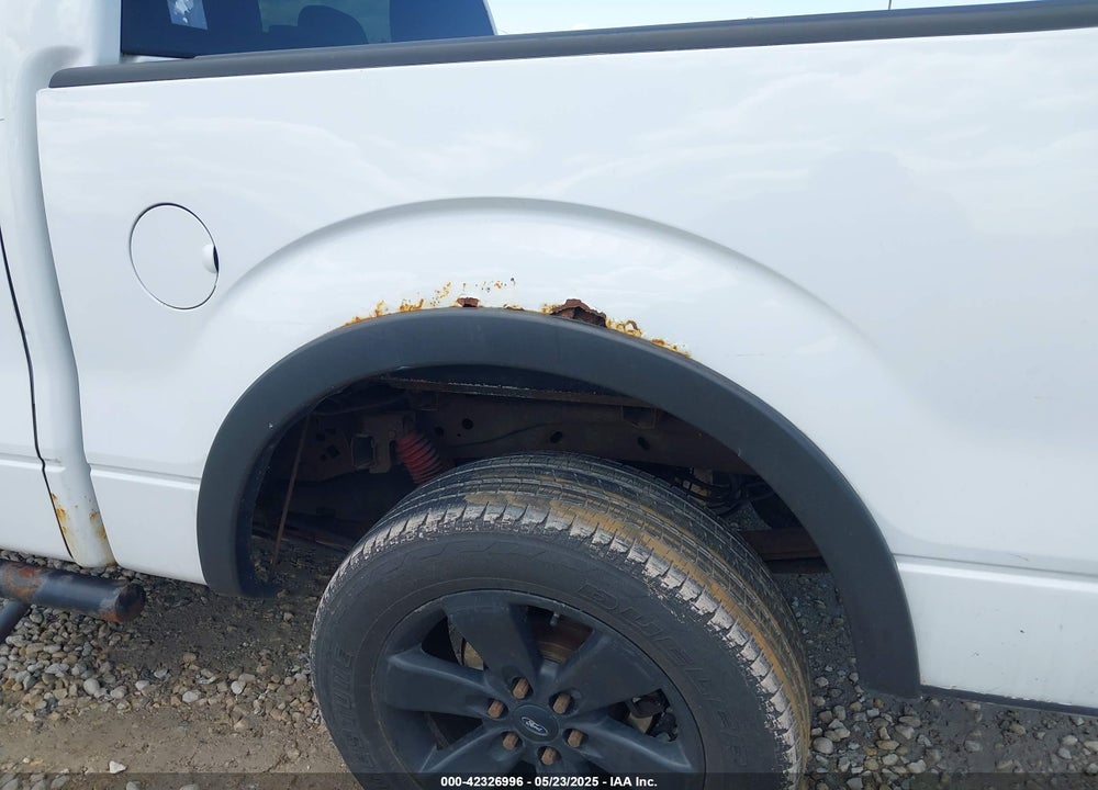 2013 FORD F-150 VIN: 1FTFW1EF3DKD10407