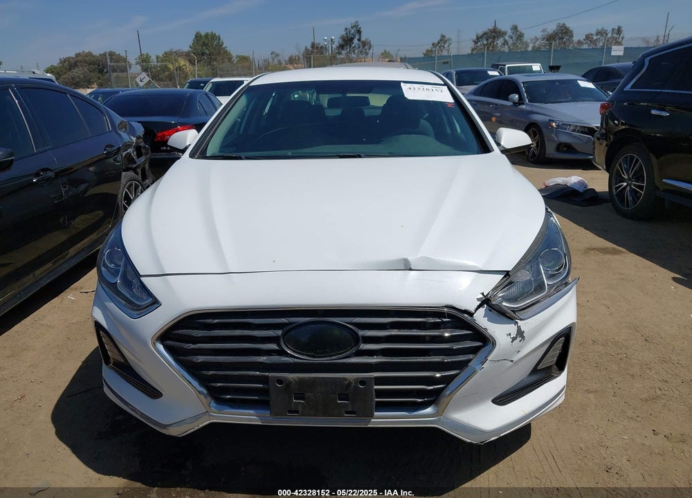 2019 HYUNDAI SONATA VIN: 5NPE24AF7KH736238