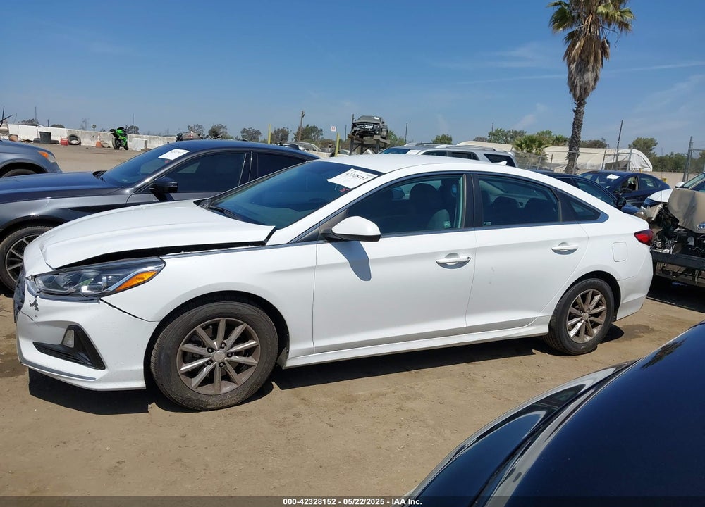 2019 HYUNDAI SONATA VIN: 5NPE24AF7KH736238