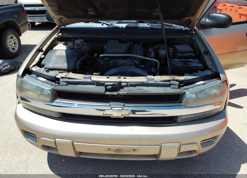 2006 CHEVROLET TRAILBLAZER VIN: 1GNDS13SX62350822