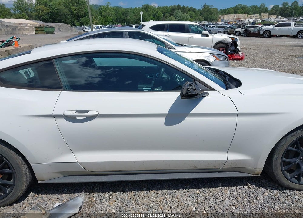 2019 FORD MUSTANG VIN: 1FA6P8TH3K5105908