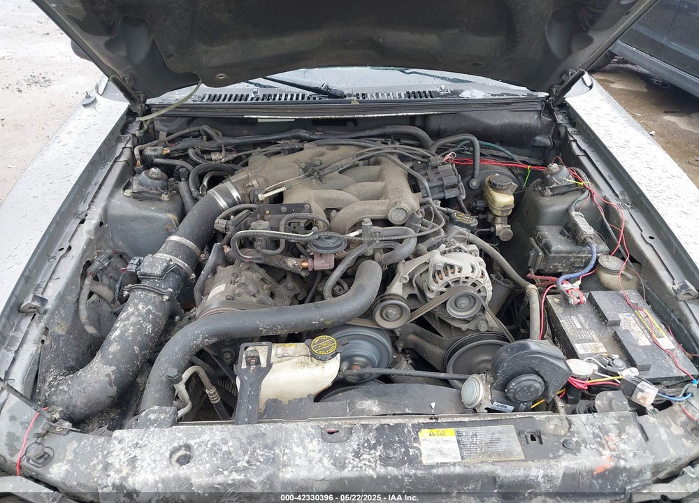 2004 FORD MUSTANG VIN: 1FAFP40624F233811