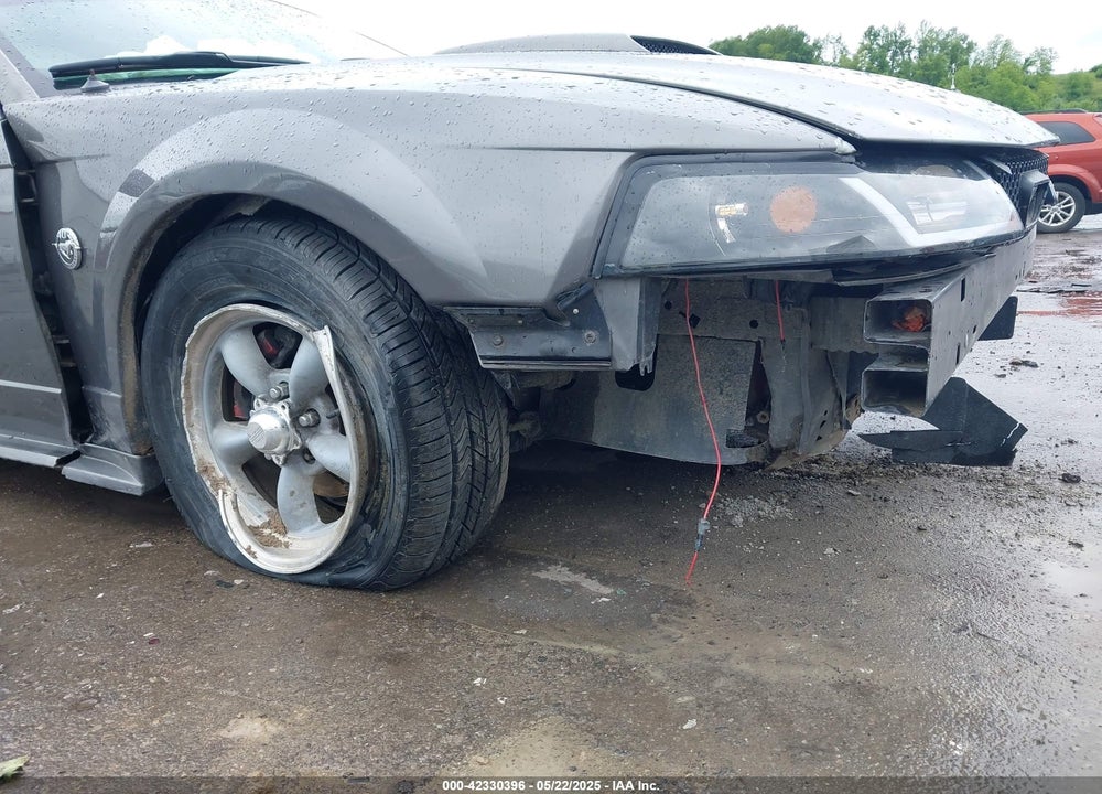 2004 FORD MUSTANG VIN: 1FAFP40624F233811