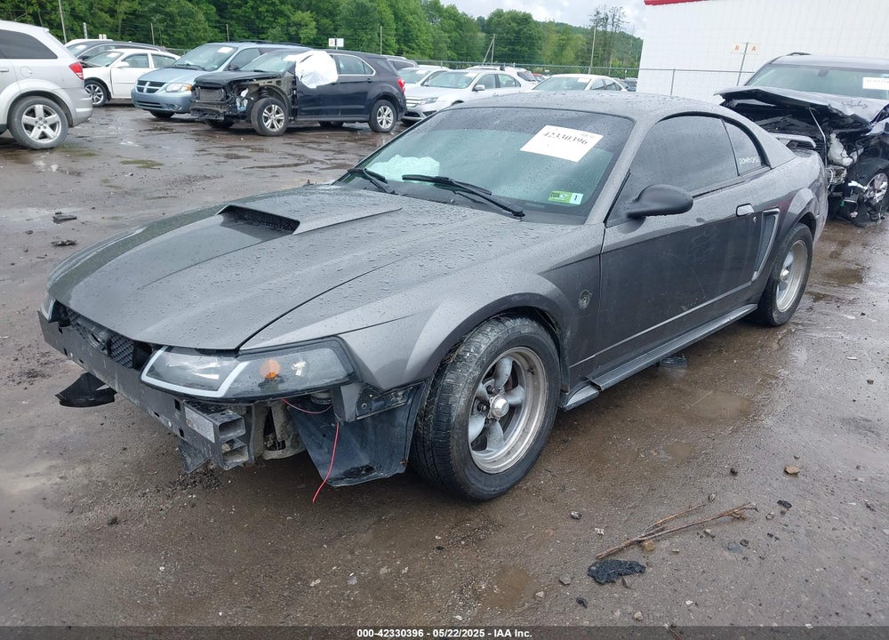2004 FORD MUSTANG VIN: 1FAFP40624F233811