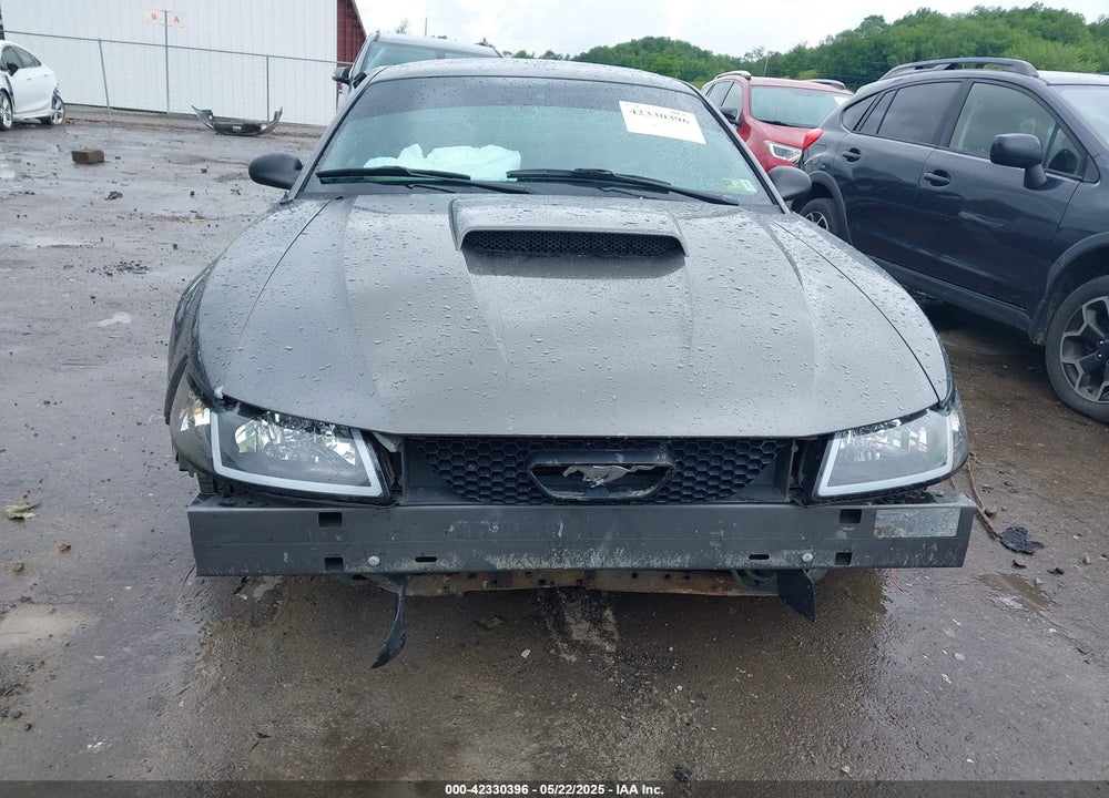 2004 FORD MUSTANG VIN: 1FAFP40624F233811