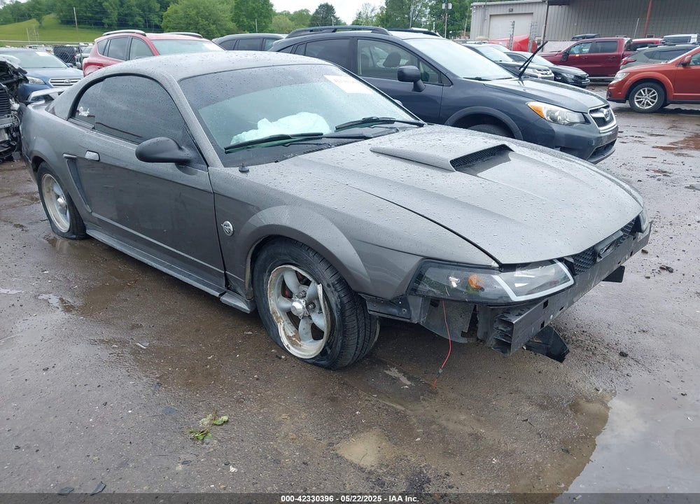 2004 FORD MUSTANG VIN: 1FAFP40624F233811