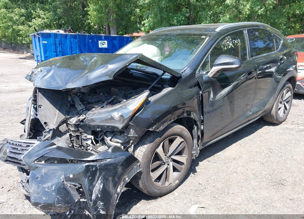 2019 LEXUS NX 300 VIN: JTJYARBZ4K2124003