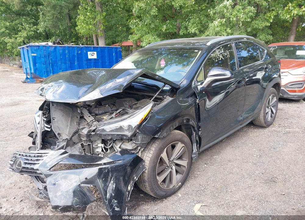 2019 LEXUS NX 300 VIN: JTJYARBZ4K2124003