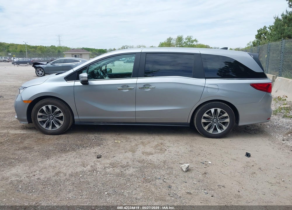 2024 HONDA ODYSSEY VIN: 5FNRL6H69RB061534