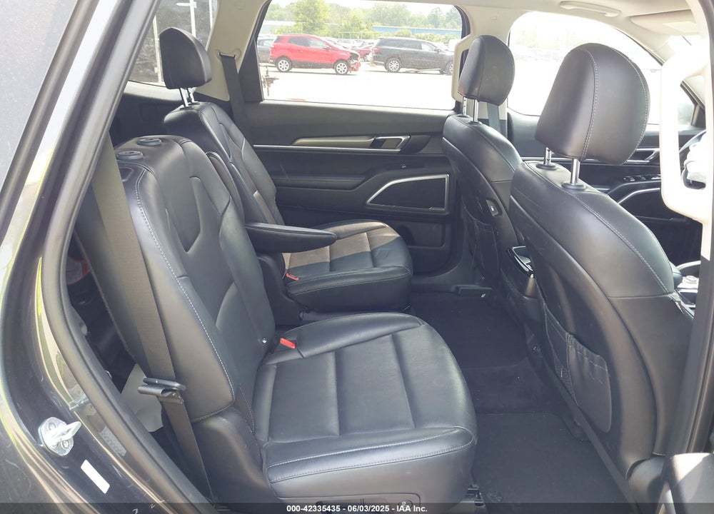 2020 KIA TELLURIDE VIN: 5XYP6DHC9LG095823