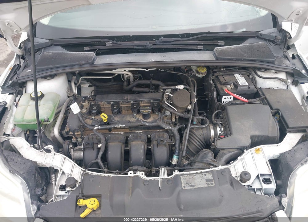 2012 FORD FOCUS SEL VIN: 1FAHP3M21CL252084