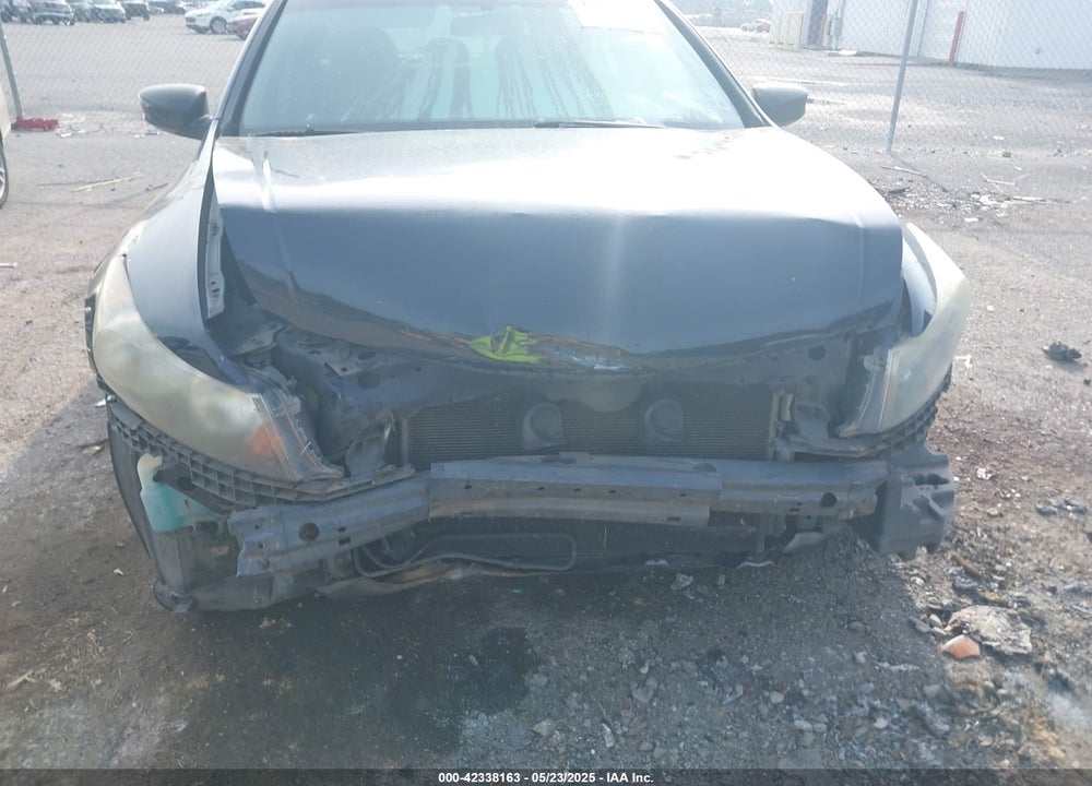 2010 HONDA ACCORD VIN: 1HGCP2F70AA113419