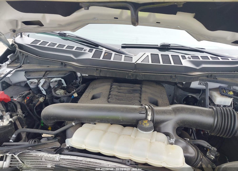 2023 FORD F-150 XLT VIN: 1FTFW1E82PFA71690