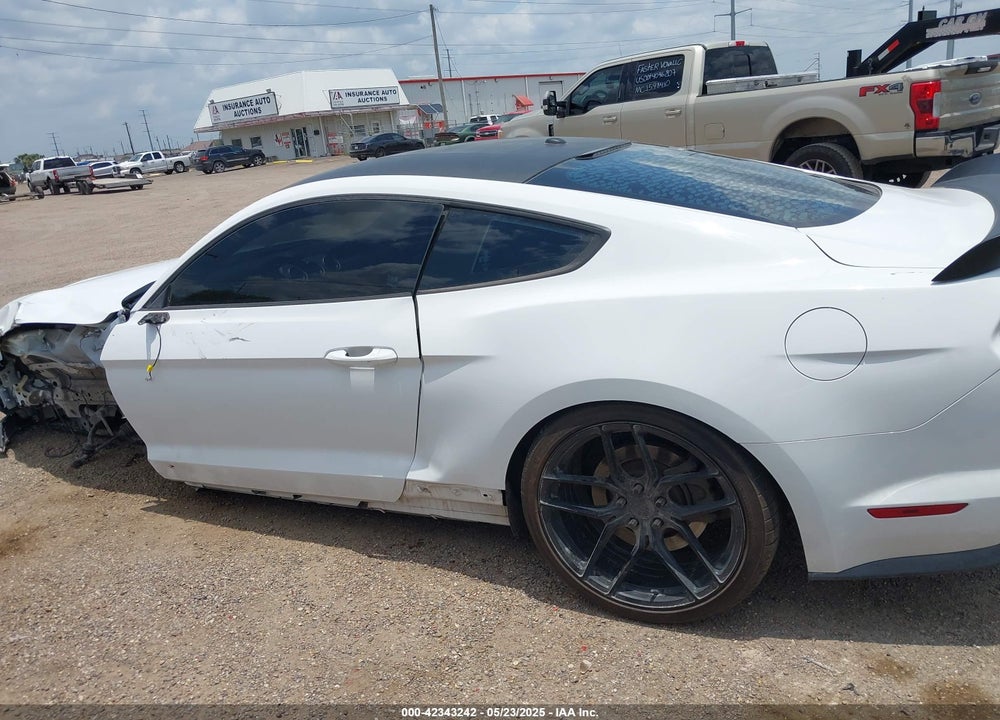 2019 FORD MUSTANG VIN: 1FA6P8CF1K5192822
