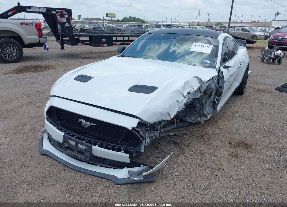 2019 FORD MUSTANG VIN: 1FA6P8CF1K5192822