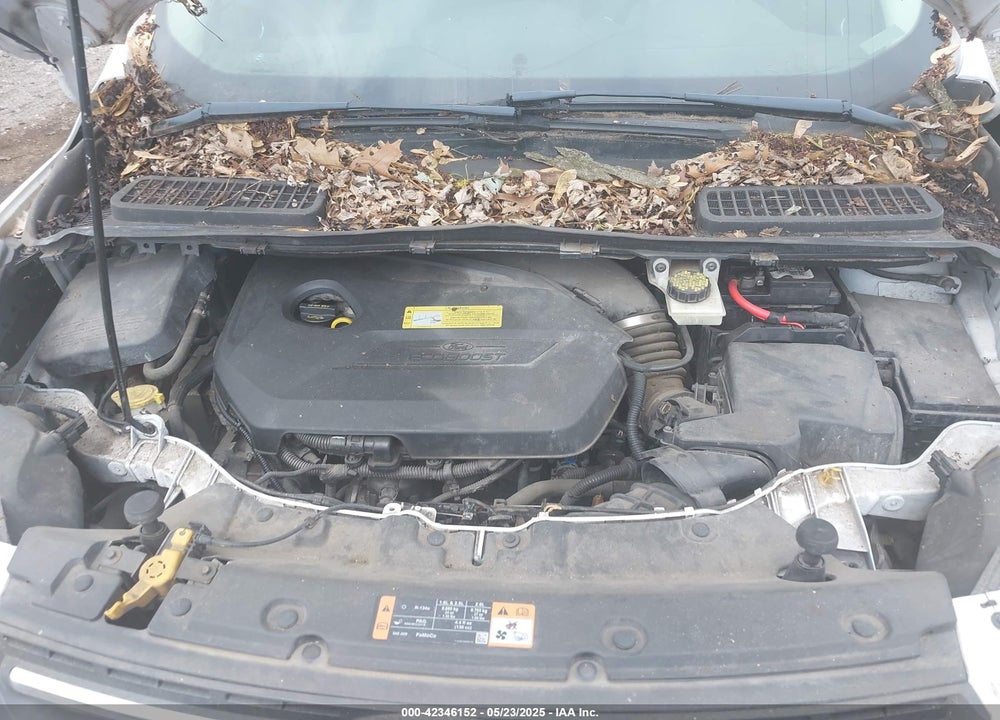 2014 FORD ESCAPE SE VIN: 1FMCU0GX1EUB57195
