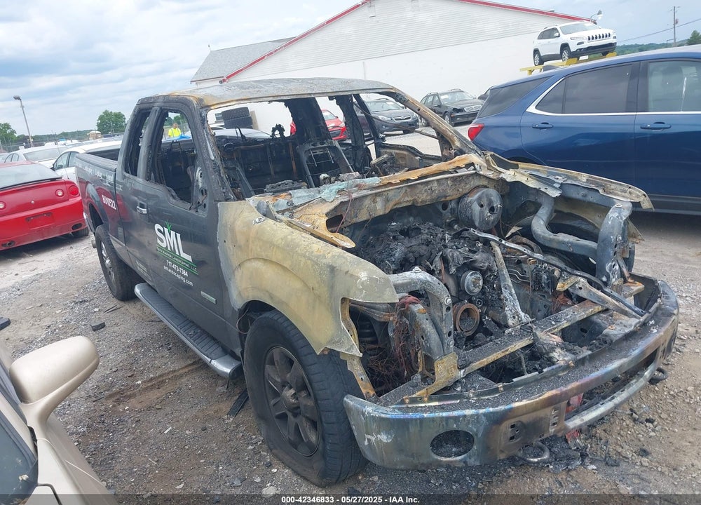 2014 FORD F-150 XLT VIN: 1FTFX1ET8EFC89776