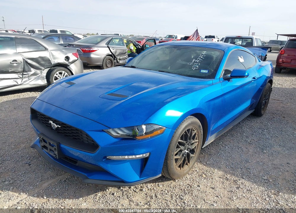 2019 FORD MUSTANG VIN: 1FA6P8THXK5185806