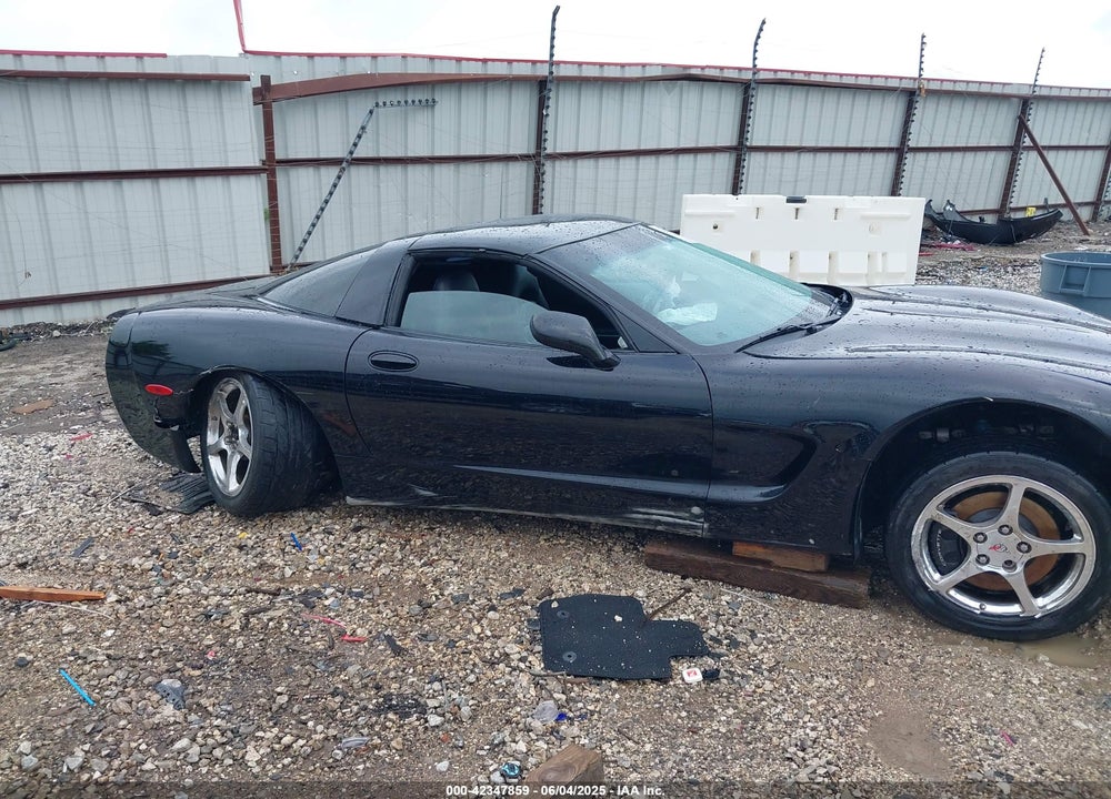 2004 CHEVROLET CORVETTE VIN: 1G1YY22G245114004