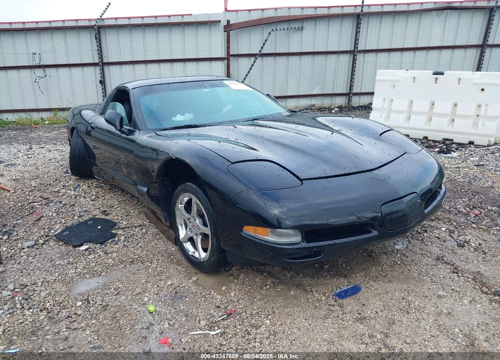 2004 CHEVROLET CORVETTE VIN: 1G1YY22G245114004