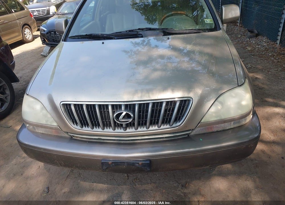 2002 LEXUS RX 300 VIN: JTJHF10U820238852
