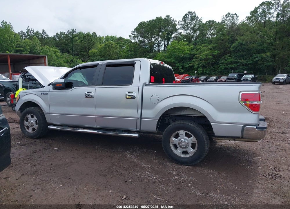 2010 FORD F-150 VIN: 1FTEW1C88AFA81033