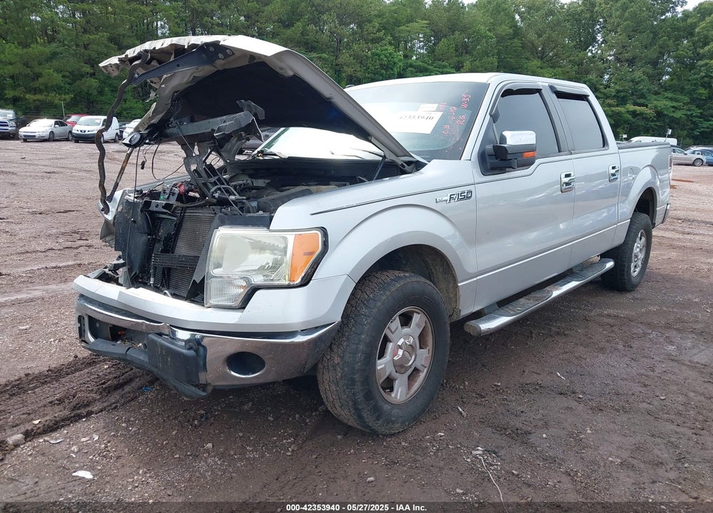 2010 FORD F-150 VIN: 1FTEW1C88AFA81033
