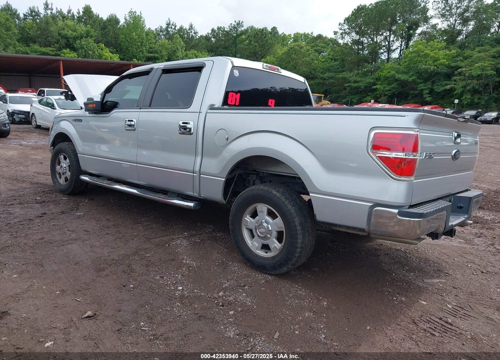 2010 FORD F-150 VIN: 1FTEW1C88AFA81033