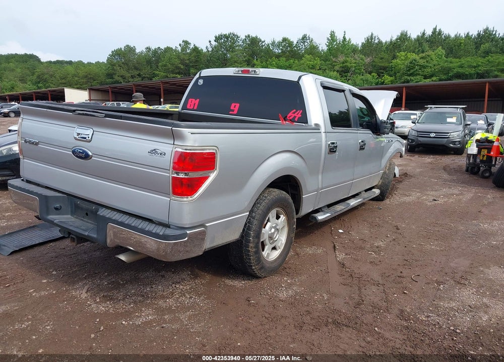 2010 FORD F-150 VIN: 1FTEW1C88AFA81033