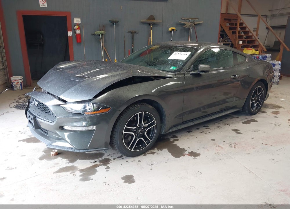 2019 FORD MUSTANG VIN: 1FA6P8TH3K5172072
