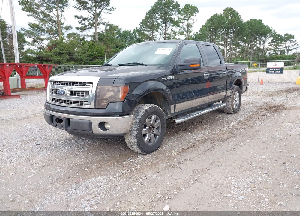 2013 FORD F-150 XLT VIN: 1FTEW1CM7DKF55286