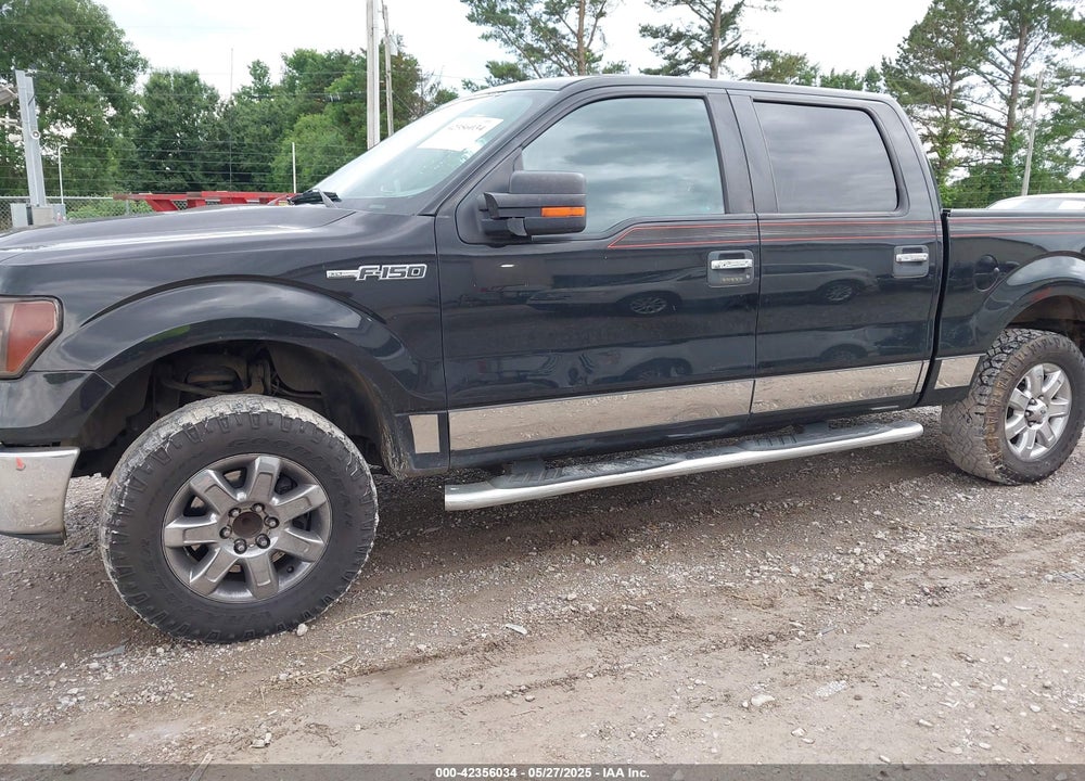 2013 FORD F-150 XLT VIN: 1FTEW1CM7DKF55286