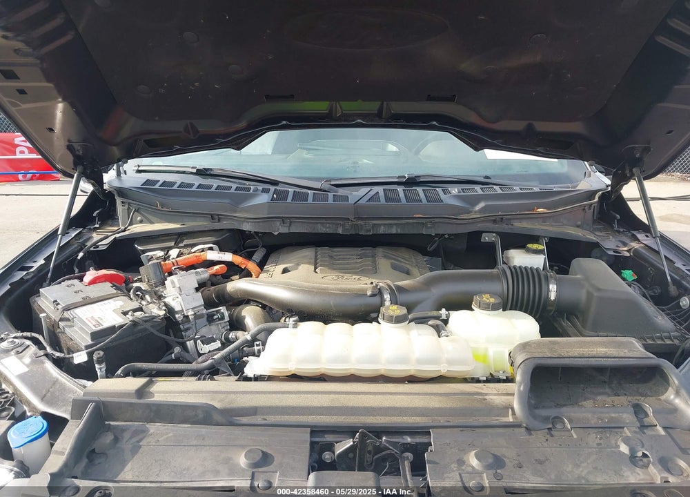2021 FORD F-150 VIN: 1FTFW1ED1MFC39618