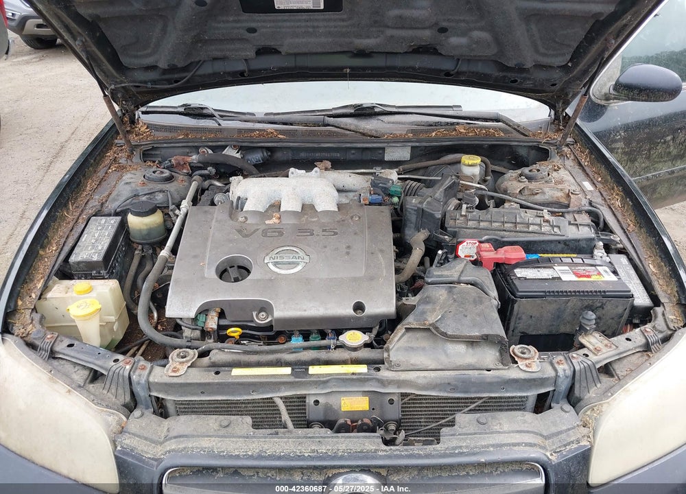 2003 NISSAN MAXIMA SE VIN: JN1DA31A93T413922