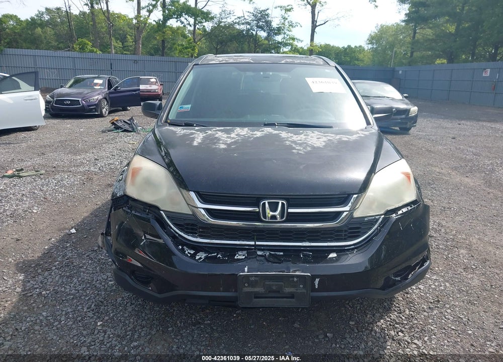 2010 HONDA CR-V VIN: 5J6RE4H59AL049904