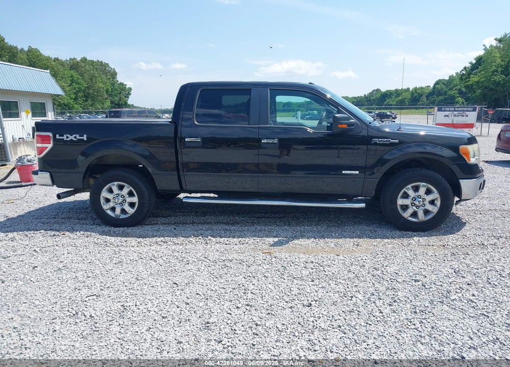 2013 FORD F-150 XLT VIN: 1FTFW1ET6DKG21755